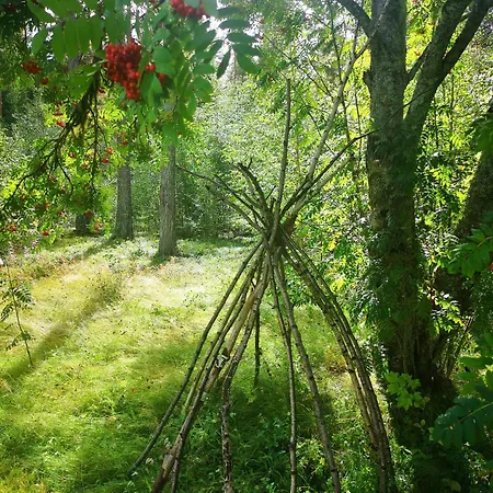 Ka Stor Elvdal 4* Koppang