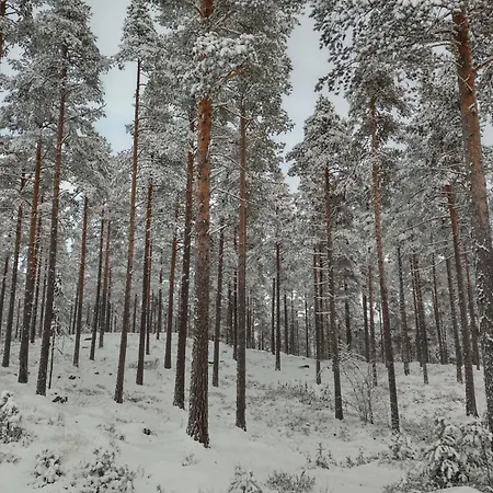 Ka Stor Elvdal Maison d'hôtes 4*