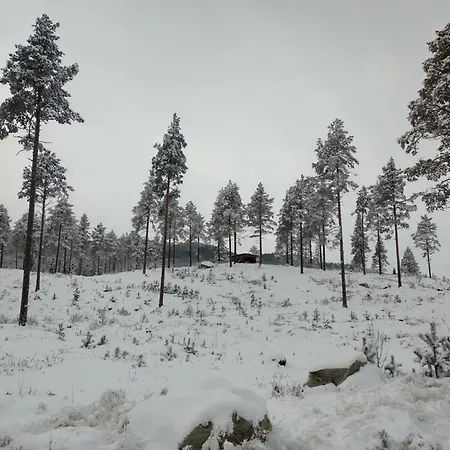 Ka Stor Elvdal Гостевой дом