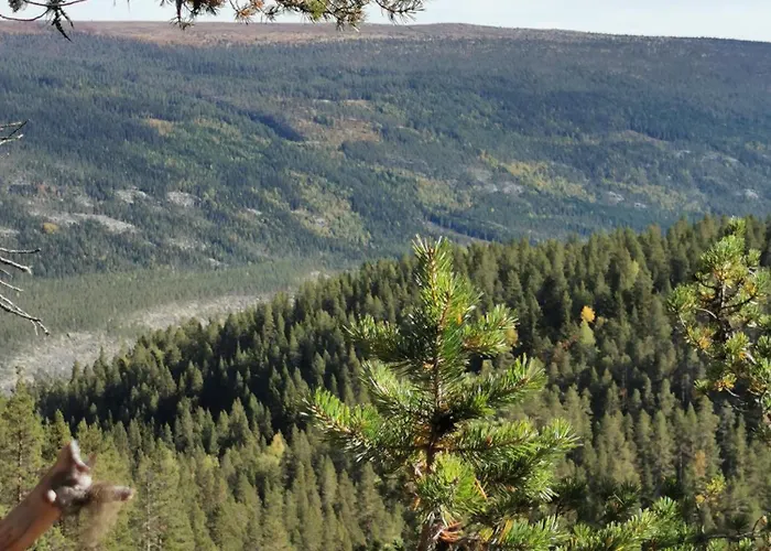Ka Stor Elvdal Koppang