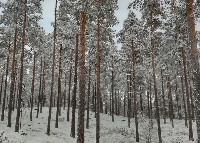 Ka Stor Elvdal Gasthof 4*