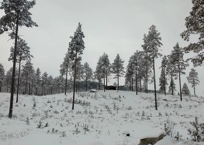 Ka Stor Elvdal Gasthof